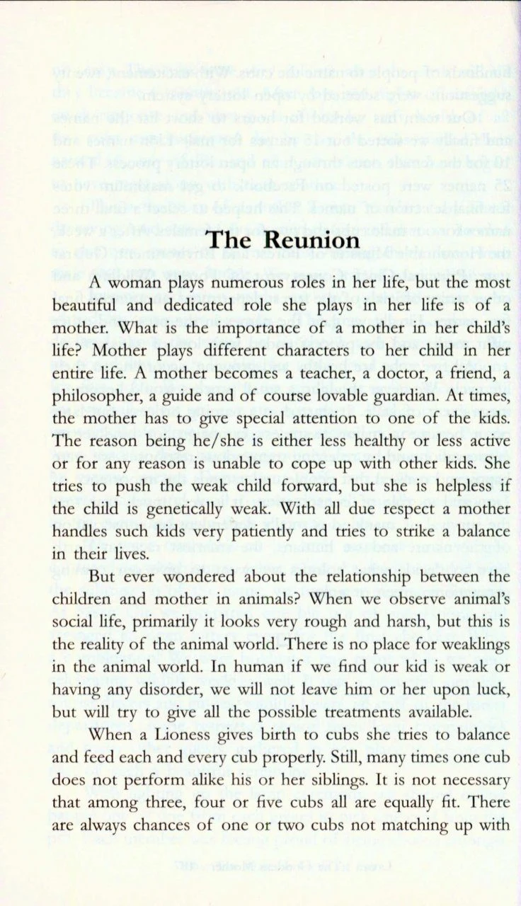 The Majestic Lions Of Gir 5 The Majestic Lions Of Gir - Image 3