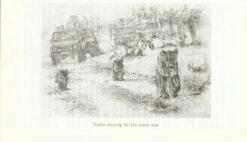 The Majestic Lions Of Gir 9 The Majestic Lions Of Gir -Wildlife Professional Books 225665 3