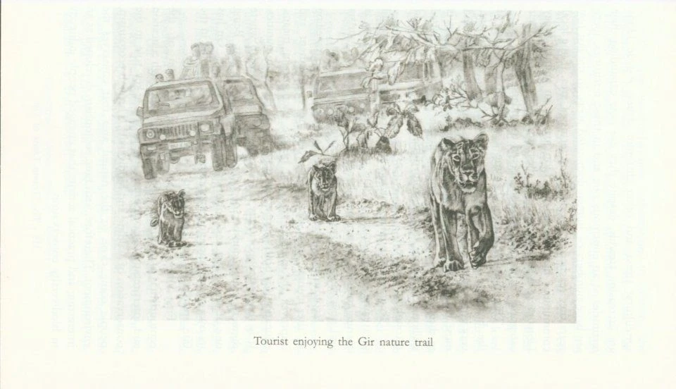 The Majestic Lions Of Gir 6 The Majestic Lions Of Gir - Image 4