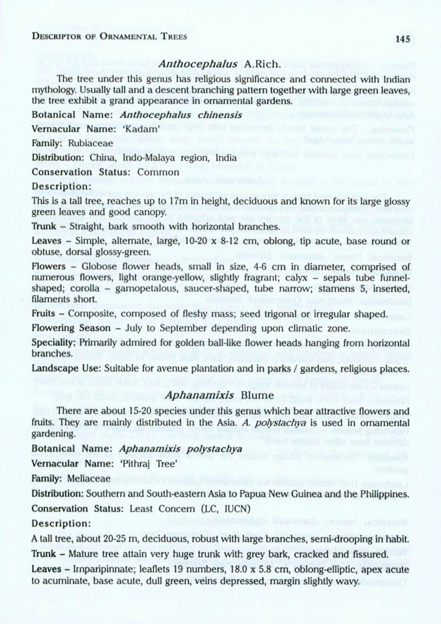 Ornamental Trees Of India 4 Ornamental Trees Of India - Image 2