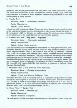 Ornamental Trees Of India 11 Ornamental Trees Of India -Wildlife Professional Books 225666 4