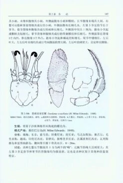 Study On The Taxonomy Of The Family Diogenidae (Crustacea: Decapoda: Anomura: Paguroidea) From China Seas [Chinese] -Wildlife Professional Books 225883 3