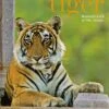 Spirit Of The Tiger 1 Spirit Of The Tiger -Wildlife Professional Books 225936
