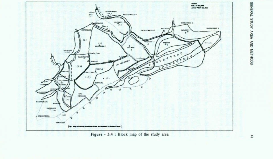 Ecology And Behaviour Of Indian Rhino In The Brahmaputra Floodplain Habitat Of Assam, India 5 Ecology And Behaviour Of Indian Rhino In The Brahmaputra Floodplain Habitat Of Assam, India - Image 3