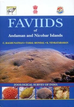 Faviids Of Andaman And Nicobar Islands