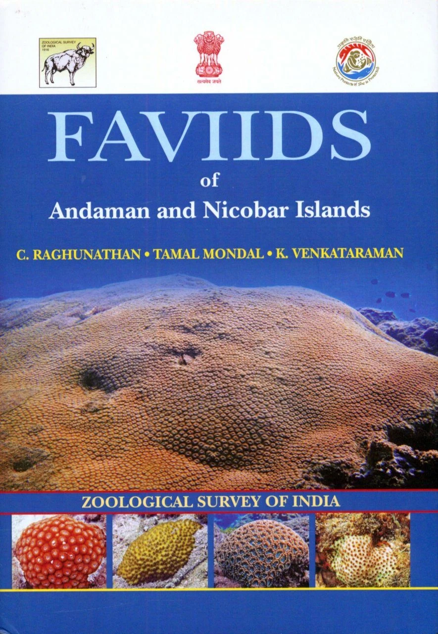 Faviids Of Andaman And Nicobar Islands 3 Faviids Of Andaman And Nicobar Islands
