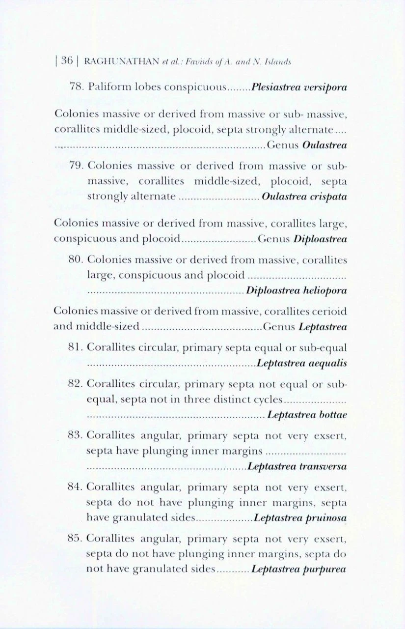 Faviids Of Andaman And Nicobar Islands 4 Faviids Of Andaman And Nicobar Islands - Image 2