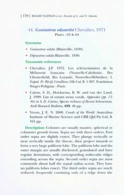Faviids Of Andaman And Nicobar Islands 10 Faviids Of Andaman And Nicobar Islands -Wildlife Professional Books 226014 3