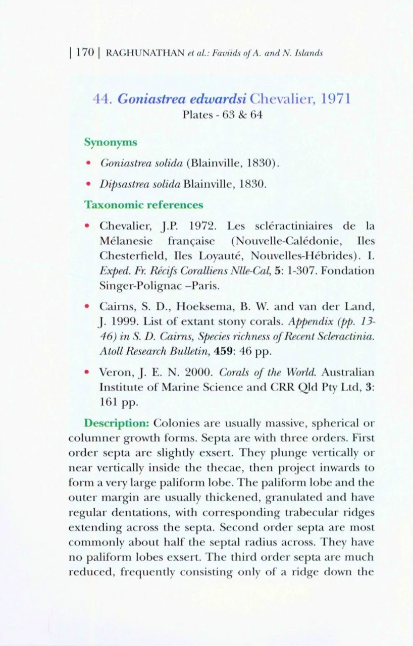 Faviids Of Andaman And Nicobar Islands 6 Faviids Of Andaman And Nicobar Islands - Image 4