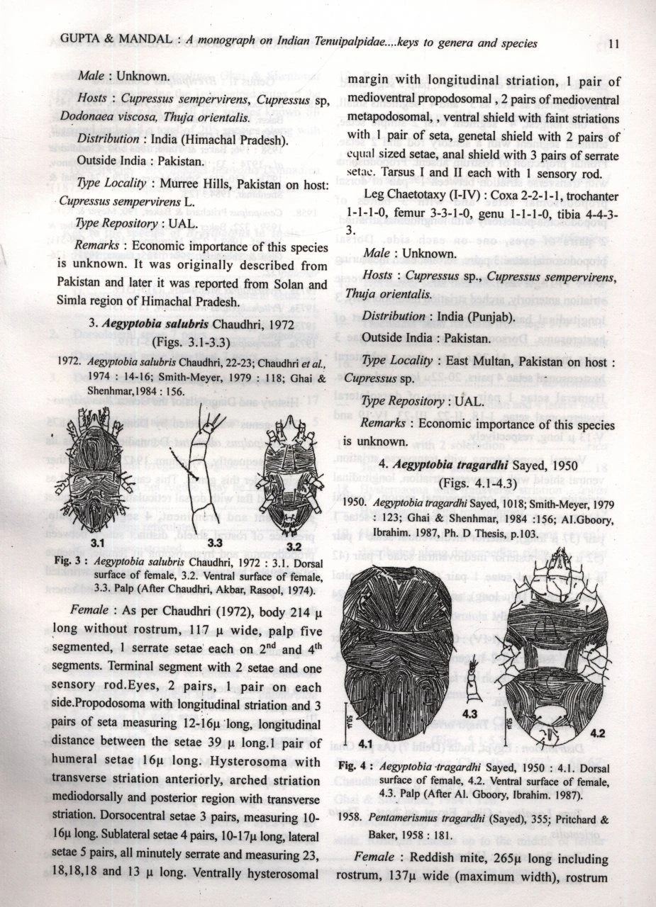 A Monograph On Indian Tenuipalpidae (Acari: Prostigmata) With Their Economic Importance And Keys To Genera And Species 4 A Monograph On Indian Tenuipalpidae (Acari: Prostigmata) With Their Economic Importance And Keys To Genera And Species - Image 2