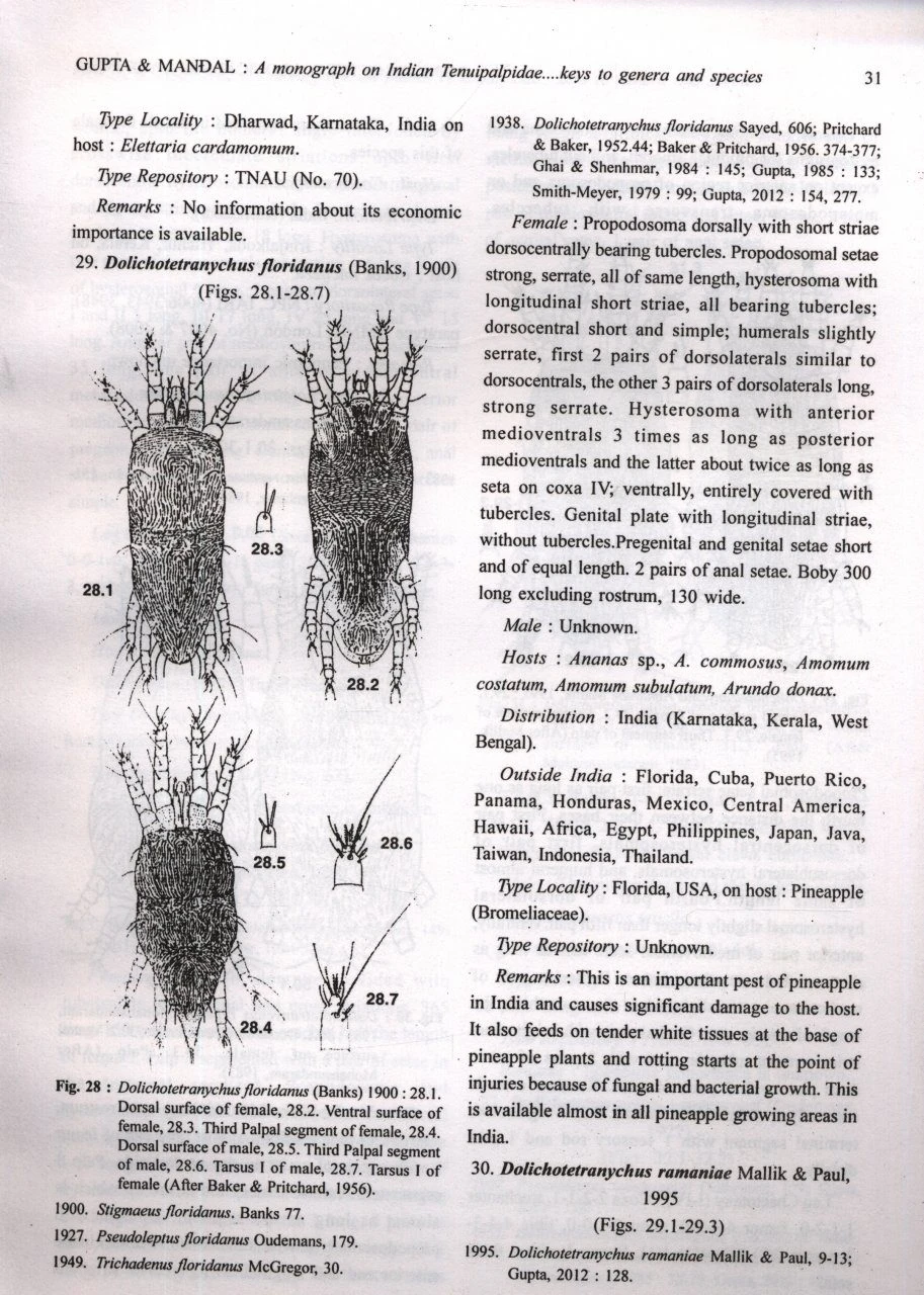 A Monograph On Indian Tenuipalpidae (Acari: Prostigmata) With Their Economic Importance And Keys To Genera And Species 5 A Monograph On Indian Tenuipalpidae (Acari: Prostigmata) With Their Economic Importance And Keys To Genera And Species - Image 3