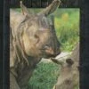 Four Years For The Rhino 1 Four Years For The Rhino -Wildlife Professional Books 226092