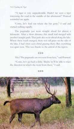 Trailing The Tiger 8 Trailing The Tiger -Wildlife Professional Books 226186 2