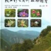 Native Orchids Of Shaanxi [English / Chinese] -Wildlife Professional Books 226587