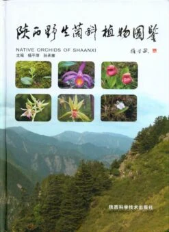 Native Orchids Of Shaanxi [English / Chinese]