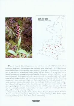 Native Orchids Of Shaanxi [English / Chinese] -Wildlife Professional Books 226587 2