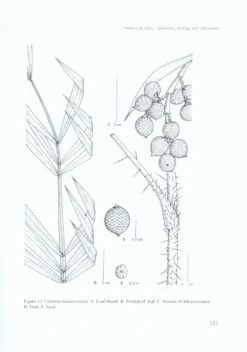 Rattans Of India 9 Rattans Of India -Wildlife Professional Books 226712 2