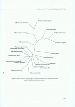 Rattans Of India 10 Rattans Of India -Wildlife Professional Books 226712 3