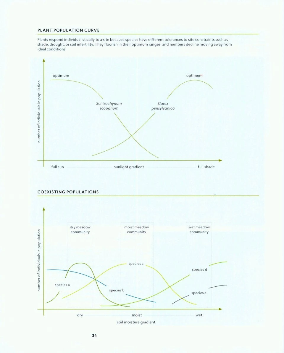 Planting In A Post-Wild World 4 Planting In A Post-Wild World - Image 2
