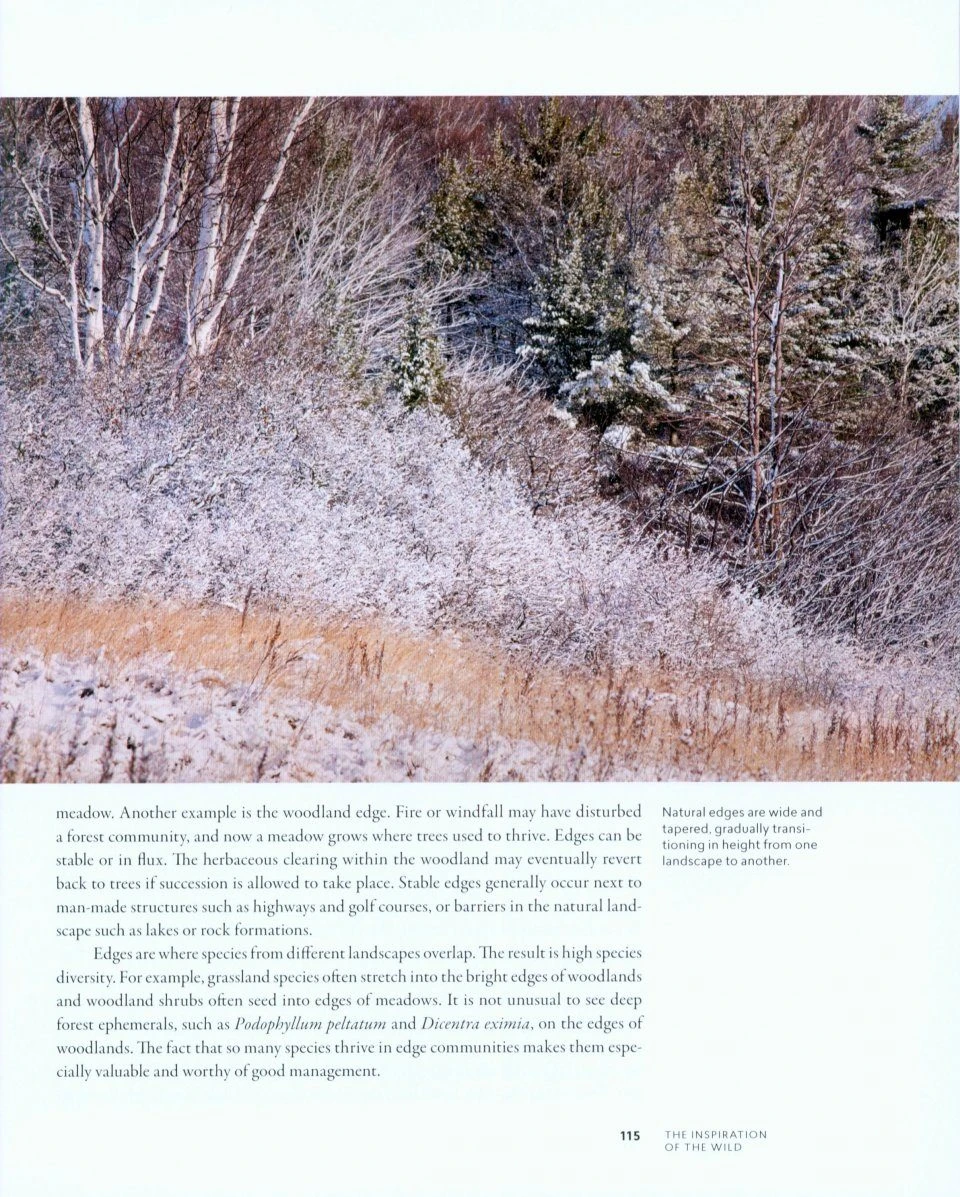 Planting In A Post-Wild World 5 Planting In A Post-Wild World - Image 3