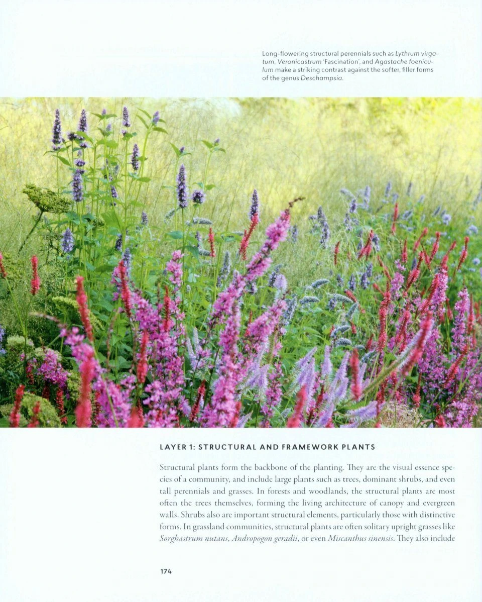 Planting In A Post-Wild World 6 Planting In A Post-Wild World - Image 4