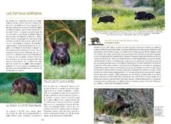 Le Sanglier: Rencontres Privilégiées Avec La Bête Noire [The Boar: Privileged Meetings With The Black Beast] -Wildlife Professional Books 226895 1