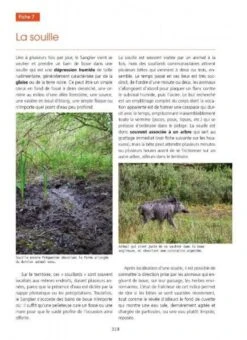 Le Sanglier: Rencontres Privilégiées Avec La Bête Noire [The Boar: Privileged Meetings With The Black Beast] -Wildlife Professional Books 226895 3