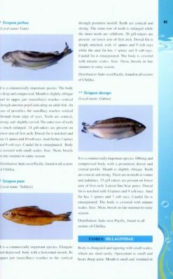 Fish Atlas Of Chilika 7 Fish Atlas Of Chilika -Wildlife Professional Books 226976 2