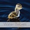Water Babies -Wildlife Professional Books 227070