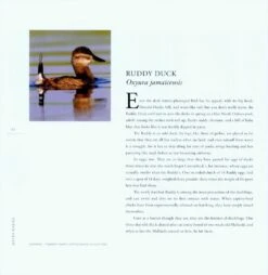 Water Babies 9 Water Babies -Wildlife Professional Books 227070 2