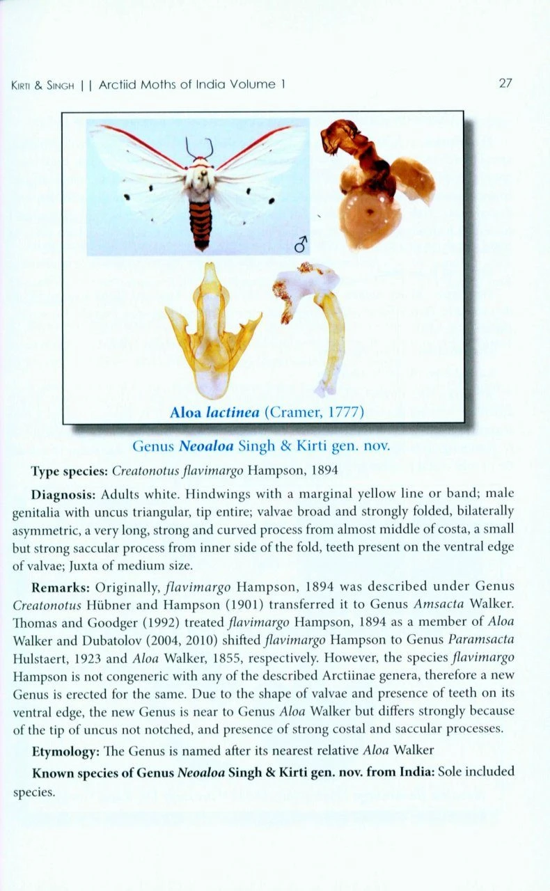 Arctiid Moths Of India, Volume 1 4 Arctiid Moths Of India, Volume 1 - Image 2