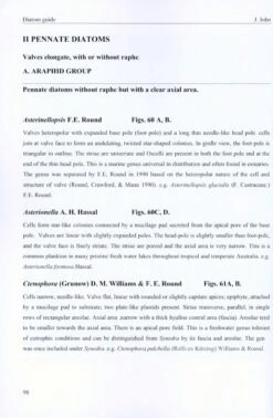 A Beginner's Guide To Diatoms 10 A Beginner's Guide To Diatoms -Wildlife Professional Books 227197 3