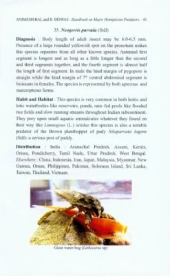 Handbook On Major Hemipteran Predators Of India 9 Handbook On Major Hemipteran Predators Of India -Wildlife Professional Books 227266 3