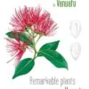 Remarkable Plants Of Vanuatu / Plantes Remarquables Du Vanuatu 2 Remarkable Plants Of Vanuatu / Plantes Remarquables Du Vanuatu -Wildlife Professional Books 227422