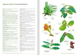 Remarkable Plants Of Vanuatu / Plantes Remarquables Du Vanuatu 13 Remarkable Plants Of Vanuatu / Plantes Remarquables Du Vanuatu -Wildlife Professional Books 227422 5