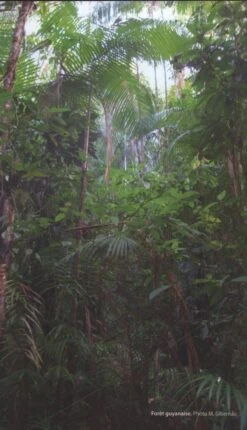 Aracées De Guyane Française [Araceae Of French Guiana] -Wildlife Professional Books 227570 4