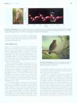Handbook Of Bird Biology 11 Handbook Of Bird Biology -Wildlife Professional Books 227756 3