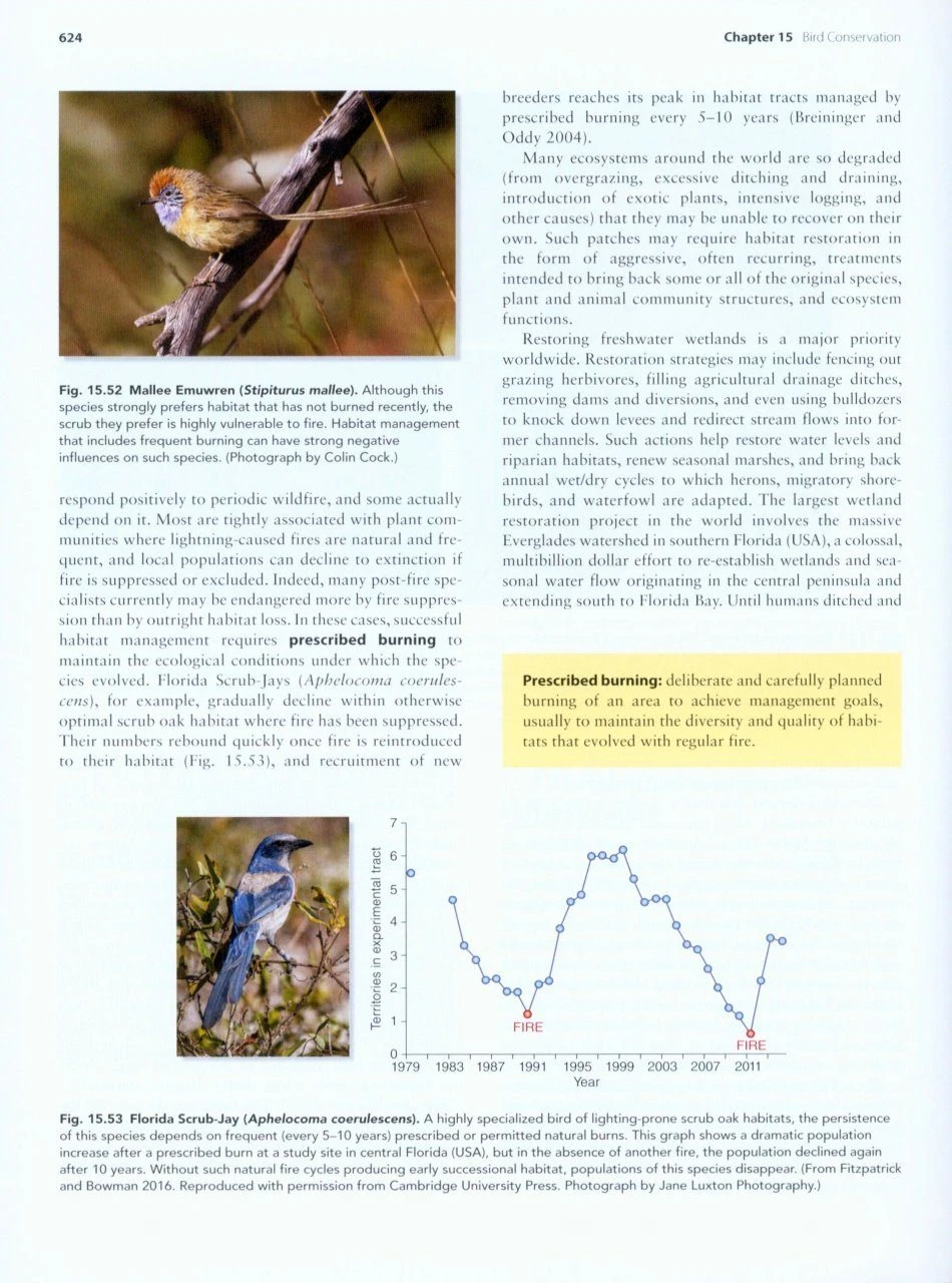 Handbook Of Bird Biology 8 Handbook Of Bird Biology - Image 6
