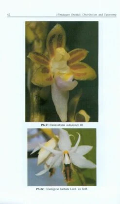 Himalayan Orchids 8 Himalayan Orchids -Wildlife Professional Books 227894 1