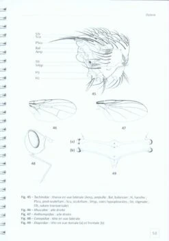 Clé D'Identification Des Principales Familles D'Insectes D'Europe [Identification Keys To The Principal Insect Families Of Europe] -Wildlife Professional Books 228083 3