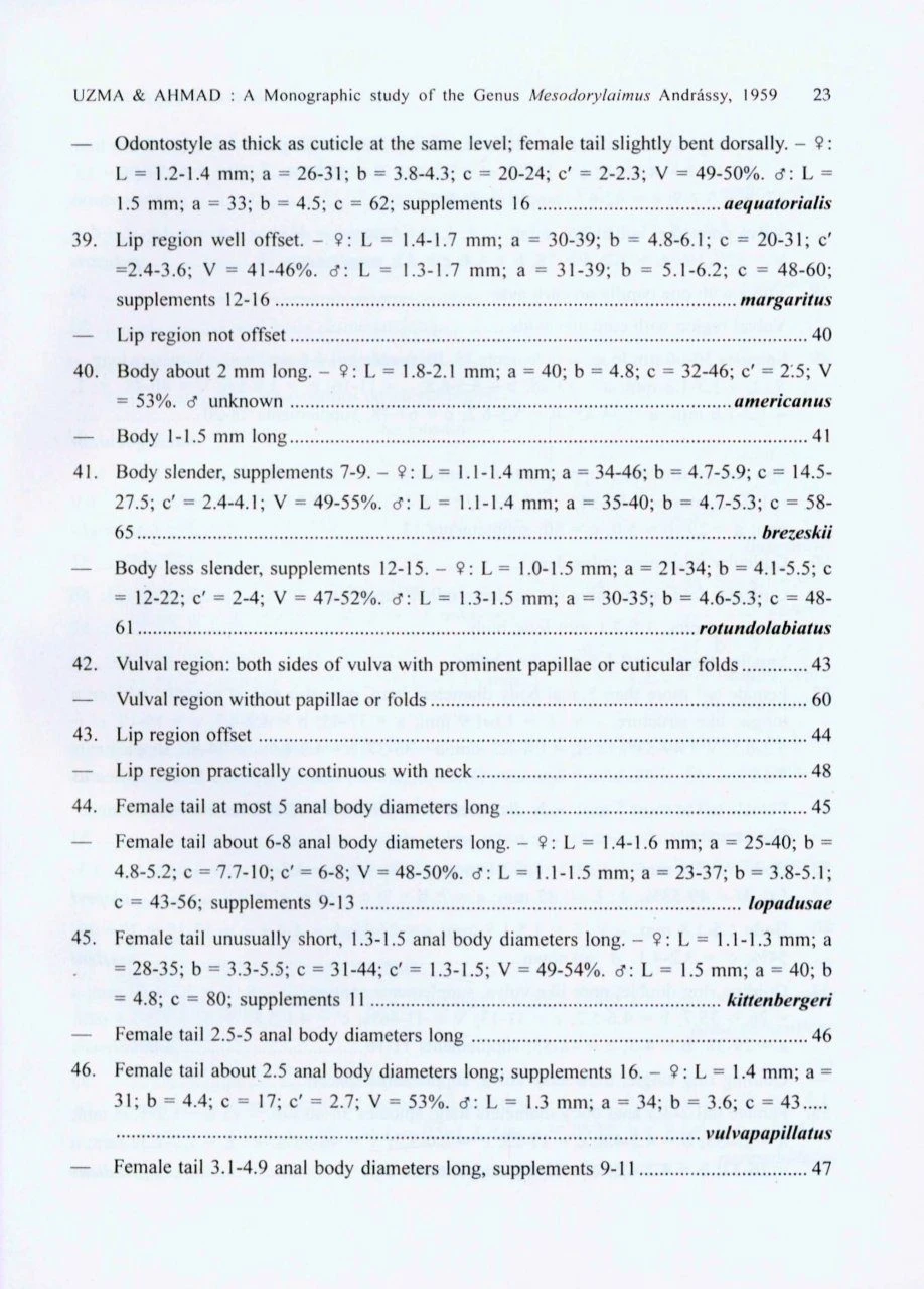 The Genus Mesodorylaimus Andrássy, 1959 (Nematoda: Dorylaimida) 4 The Genus Mesodorylaimus Andrássy, 1959 (Nematoda: Dorylaimida) - Image 2
