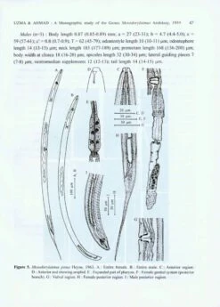 The Genus Mesodorylaimus Andrássy, 1959 (Nematoda: Dorylaimida) 8 The Genus Mesodorylaimus Andrássy, 1959 (Nematoda: Dorylaimida) -Wildlife Professional Books 228159 2