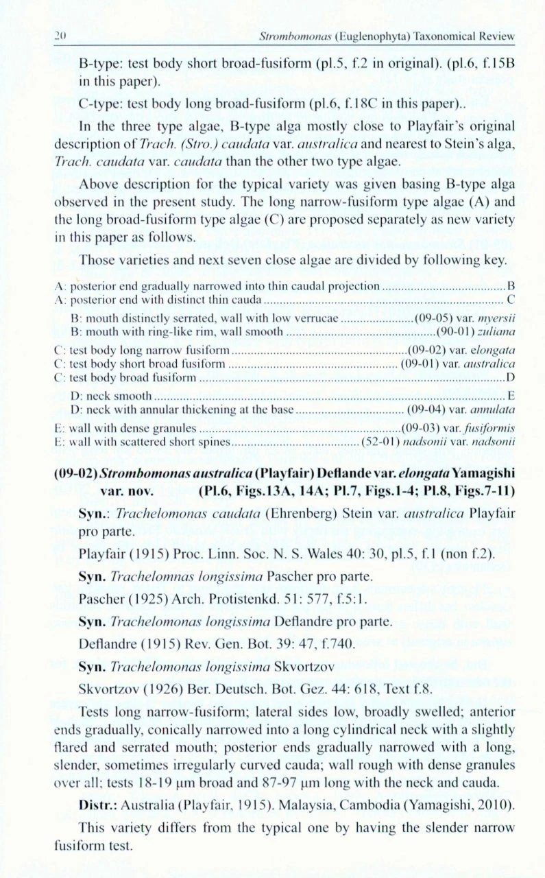 Strombomonas (Euglenophyta) Taxonomical Review 4 Strombomonas (Euglenophyta) Taxonomical Review - Image 2