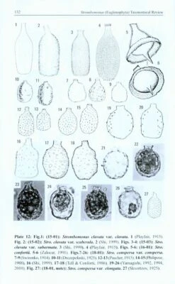 Strombomonas (Euglenophyta) Taxonomical Review 7 Strombomonas (Euglenophyta) Taxonomical Review -Wildlife Professional Books 228176 2