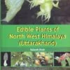 Edible Plants Of North West Himalaya (Uttarakhand) 1 Edible Plants Of North West Himalaya (Uttarakhand) -Wildlife Professional Books 228314