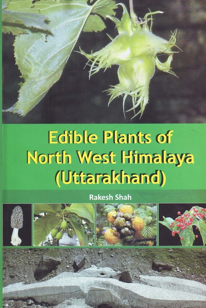 Edible Plants Of North West Himalaya (Uttarakhand) 3 Edible Plants Of North West Himalaya (Uttarakhand)