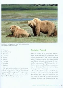 The Bear Almanac 9 The Bear Almanac -Wildlife Professional Books 228382 2