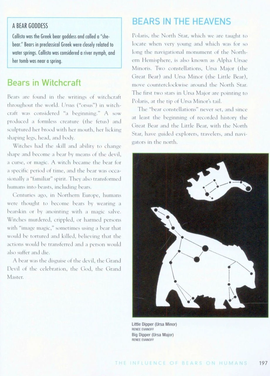 The Bear Almanac 6 The Bear Almanac - Image 4
