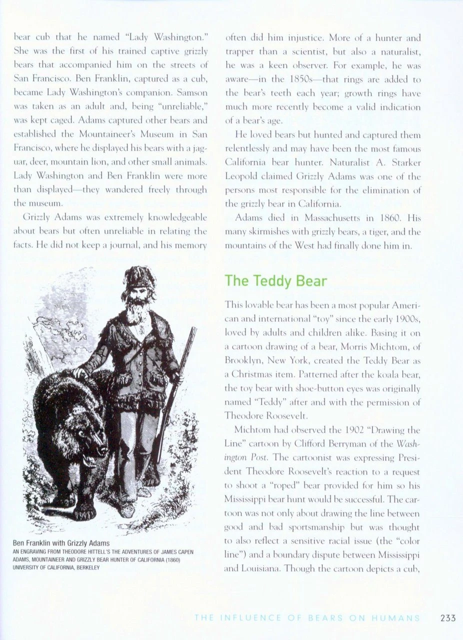 The Bear Almanac 7 The Bear Almanac - Image 5