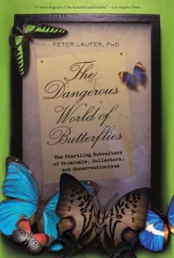 Dangerous World Of Butterflies